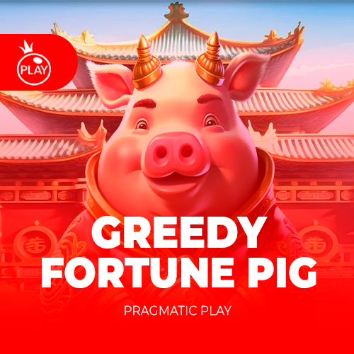 Greedy Fortune Pig