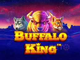 Buffalo King